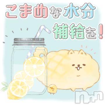 新潟デリヘルBIANCA～主人の知らない私～新潟店(ビアンカニイガタテン) 鏡音　べに(43)の7月25日写メブログ「出勤日♪」
