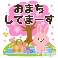 新潟デリヘルBIANCA～主人の知らない私～新潟店(ビアンカニイガタテン) 鏡音　べに(43)の4月8日写メブログ「次回出勤日☆」