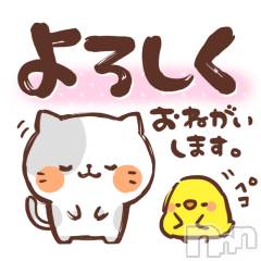 新潟デリヘル BIANCA～主人の知らない私～新潟店(ビアンカニイガタテン) 鏡音　べに(44)の3月26日写メブログ「本日出勤します♪」