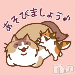 新潟デリヘル BIANCA～主人の知らない私～新潟店(ビアンカニイガタテン) 鏡音　べに(43)の9月21日写メブログ「次回出勤のお知らせです☆」