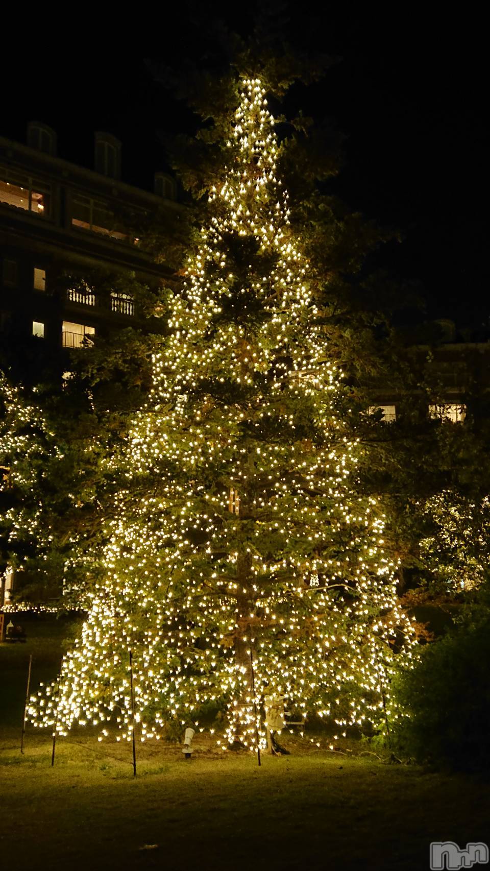 新潟デリヘルMinx(ミンクス)千明(28)の2019年11月13日写メブログ「一足早く、メリークリスマス。」
