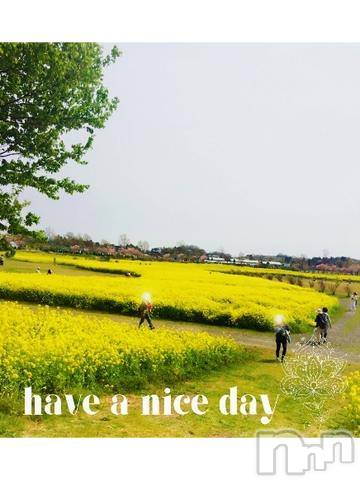 新潟デリヘルMinx(ミンクス)千明(28)の2024年3月19日写メブログ「福島潟の菜の花畑🌼」