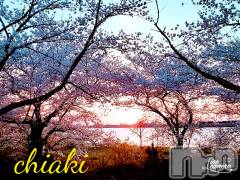 新潟デリヘルMinx(ミンクス) 千明(28)の4月3日写メブログ「お花見」