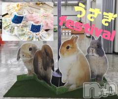 新潟デリヘルMinx(ミンクス) 千明(28)の12月17日写メブログ「うさぎフェスティバル」