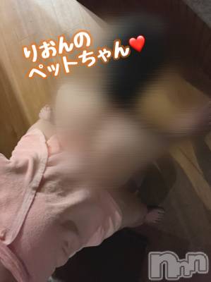 三条デリヘル まぐろさんいらっしゃ～い！-出稼ぎ0！地元の痴女専門店-(マグロサンイラッシャ～イ) 【AF可】りおん(25)の8月5日写メブログ「ペットは犬と馬」