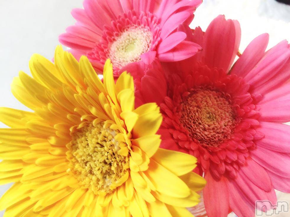 上越デリヘル上越風俗出張アロママッサージ(ジョウエツフウゾクシュッチョウアロママッサージ) 沖縄★しずく(27)の6月13日写メブログ「今晩は～（≧∇≦）」