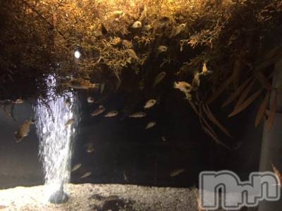 上越デリヘル 上越風俗出張アロママッサージ(ジョウエツフウゾクシュッチョウアロママッサージ) 沖縄★しずく(27)の7月6日写メブログ「おはようございます❤︎」