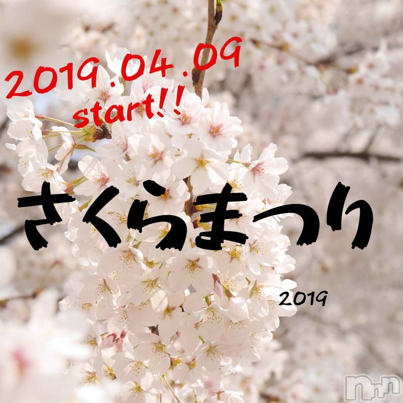新潟デリヘルBIANCA～主人の知らない私～新潟店(ビアンカニイガタテン)土屋さくら(37)の2019年4月8日写メブログ「さくらまつり2019開催決定」