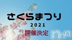 新潟デリヘルBIANCA～主人の知らない私～新潟店(ビアンカニイガタテン) 土屋さくら(37)の3月25日写メブログ「さくらまつり2021開催のお知らせ」