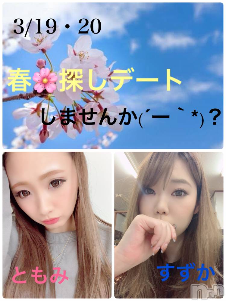 Ĺ襳ѥ˥󥯥ֻ򥳥ѥ˥󥯥 Amour(ࡼ) Ȥߥޥޤ316ֻ̥֥ϵդ