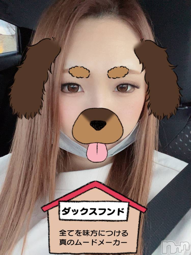 Ĺ襳ѥ˥󥯥ֻ򥳥ѥ˥󥯥 Amour(ࡼ) Ȥߥޥޤ131ָ̥֥ˤʤ