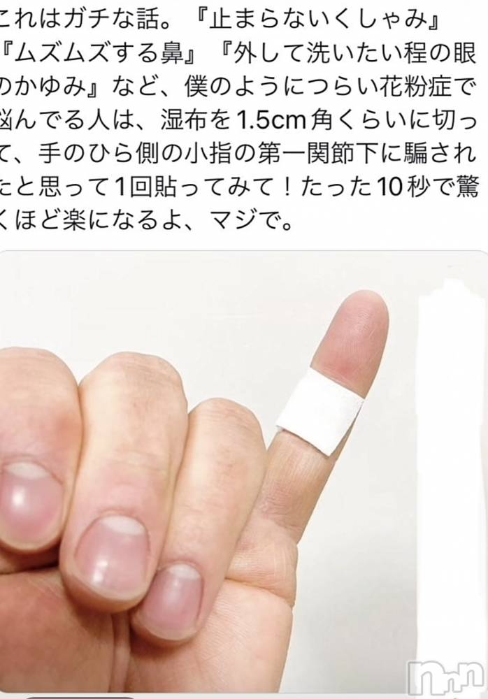 Ĺ襳ѥ˥󥯥ֻ򥳥ѥ˥󥯥 Amour(ࡼ) Ȥߥޥޤ224̥֥֤ޤȻפ