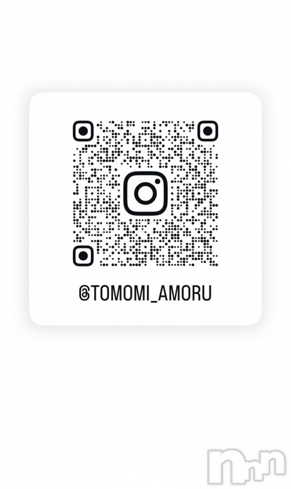 Ĺ襳ѥ˥󥯥ֻ򥳥ѥ˥󥯥 Amour(ࡼ) Ȥߥޥޤ810̥֥֤ͧãˤʤäƤ(׎e)ס