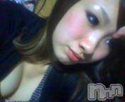 Ĺ襳ѥ˥󥯥ֻ򥳥ѥ˥󥯥 Amour(ࡼ) Ȥߥޥޤ66̥֥֤Ȥäơš