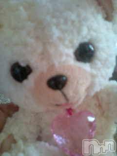 Ĺ襳ѥ˥󥯥ֻ򥳥ѥ˥󥯥 Amour(ࡼ) Ȥߥޥޤ831̥֥֣