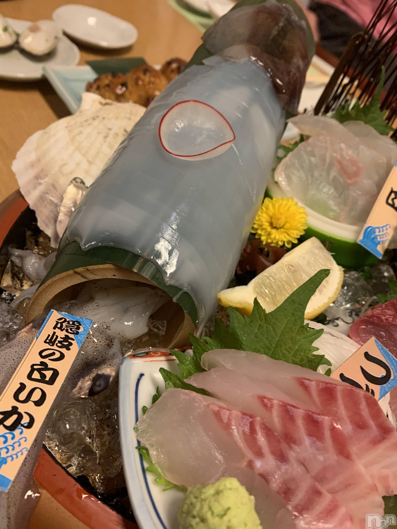 Ĺ襳ѥ˥󥯥ֻ򥳥ѥ˥󥯥 Amour(ࡼ) 2020ǯ26̥֥Ĺ  