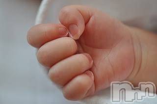 Ĺ襳ѥ˥󥯥ֻ򥳥ѥ˥󥯥 Amour(ࡼ) 2020ǯ29̥֥־ʼ꤬