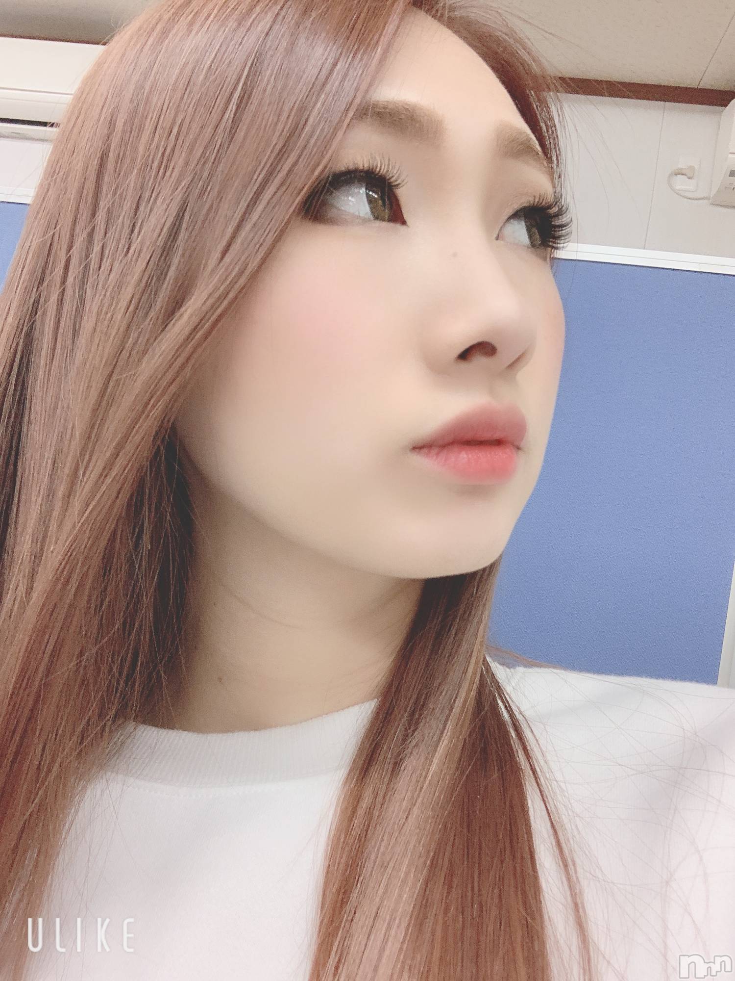 Ĺ襳ѥ˥󥯥ֻ򥳥ѥ˥󥯥 Amour(ࡼ) 2020ǯ312̥֥ͽꥬǡ