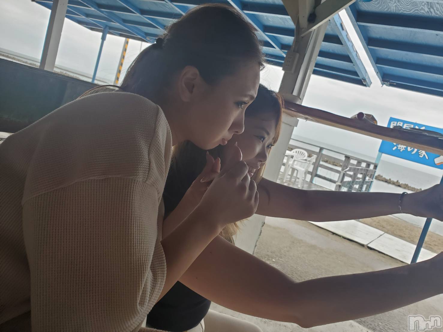 Ĺ襳ѥ˥󥯥ֻ򥳥ѥ˥󥯥 Amour(ࡼ) 2020ǯ83̥֥֥եåȡ