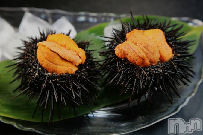 Ĺ襳ѥ˥󥯥ֻ򥳥ѥ˥󥯥 Amour(ࡼ) 2021ǯ515̥֥🦀🦐✷