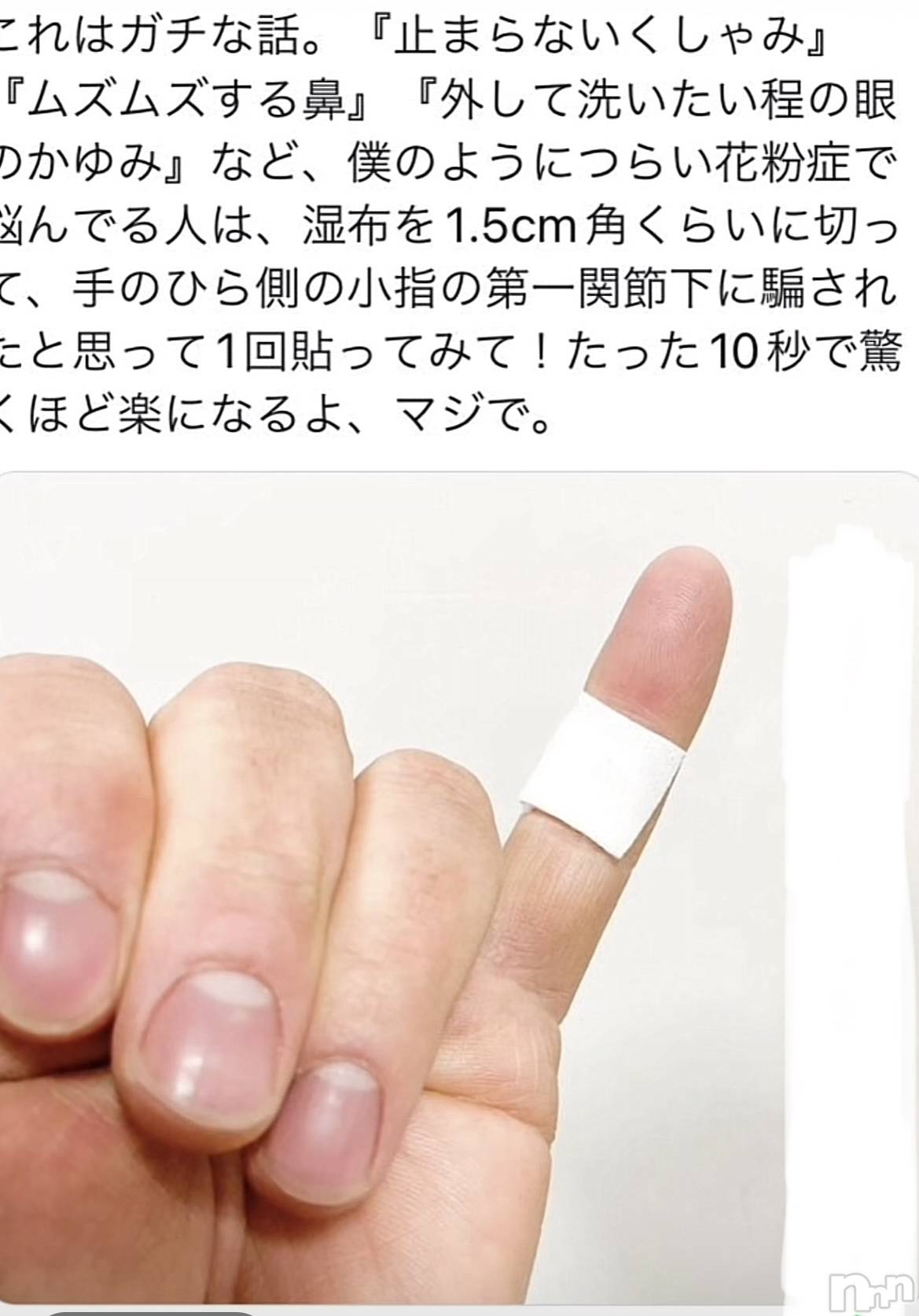 Ĺ襳ѥ˥󥯥ֻ򥳥ѥ˥󥯥 Amour(ࡼ) 2023ǯ224̥֥֤ޤȻפ