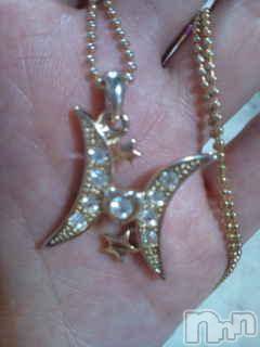 Ĺ襳ѥ˥󥯥ֻ򥳥ѥ˥󥯥 Amour(ࡼ) 2010ǯ713̥֥֥ͥå쥹