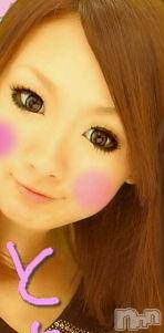 Ĺ襳ѥ˥󥯥ֻ򥳥ѥ˥󥯥 Amour(ࡼ) 2010ǯ812ֲ̥֥δС