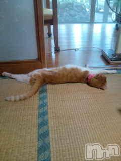 Ĺ襳ѥ˥󥯥ֻ򥳥ѥ˥󥯥 Amour(ࡼ) 2010ǯ819̥֥֤ޡ