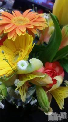 Ĺ襳ѥ˥󥯥ֻ򥳥ѥ˥󥯥 Amour(ࡼ) Ȥߥޥ(36)320ְ̥֥Ƥʡ