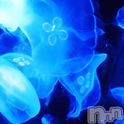 Ĺ襳ѥ˥󥯥ֻ򥳥ѥ˥󥯥 Amour(ࡼ) Ȥߥޥ(36)78̥֥䤵Ƥ͡