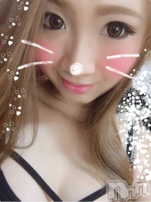 Ĺ襳ѥ˥󥯥ֻ򥳥ѥ˥󥯥 Amour(ࡼ) Ȥߥޥ(36)819̥֥1ǯ֤ꡣ