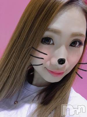 Ĺ襳ѥ˥󥯥ֻ򥳥ѥ˥󥯥 Amour(ࡼ) Ȥߥޥ(36)511̥֥֥󥹥Ǥäۡ