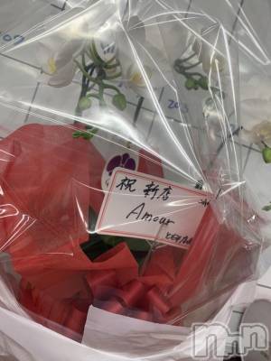 Ĺ襳ѥ˥󥯥ֻ򥳥ѥ˥󥯥 Amour(ࡼ) Ȥߥޥ(36)111ֻ̥֥򥳥ѥ˥󥢥ࡼưޤ