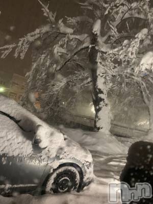 Ĺ襳ѥ˥󥯥ֻ򥳥ѥ˥󥯥 Amour(ࡼ) Ȥߥޥ(36)1220ֶ̥֥