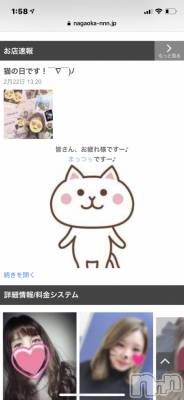 Ĺ襳ѥ˥󥯥ֻ򥳥ѥ˥󥯥 Amour(ࡼ) Ȥߥޥ(36)224̥֥֤򸫤ƶس