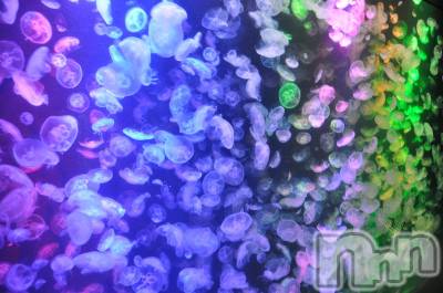 Ĺ襳ѥ˥󥯥ֻ򥳥ѥ˥󥯥 Amour(ࡼ) Ȥߥޥ(36)525̥֥37٤äwww