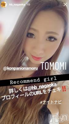 Ĺ襳ѥ˥󥯥ֻ򥳥ѥ˥󥯥 Amour(ࡼ) Ȥߥޥ(36)1114̥֥14٤ͽꡣͽ̤