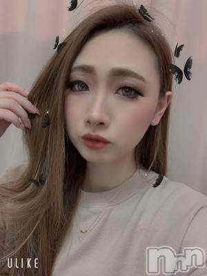 Ĺ襳ѥ˥󥯥ֻ򥳥ѥ˥󥯥 Amour(ࡼ) Ȥߥޥ(36)221̥֥־дѤʤ