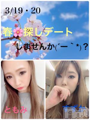 Ĺ襳ѥ˥󥯥ֻ򥳥ѥ˥󥯥 Amour(ࡼ) Ȥߥޥ(36)313ֺ̥֥🍻