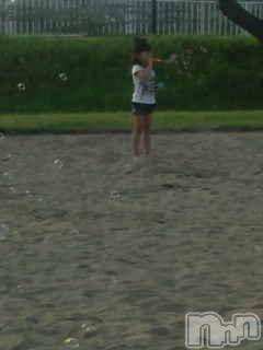 Ĺ襳ѥ˥󥯥ֻ򥳥ѥ˥󥯥 Amour(ࡼ) Ȥߥޥ(36)624ַ̥֥ɡš