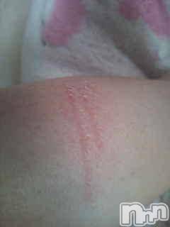 Ĺ襳ѥ˥󥯥ֻ򥳥ѥ˥󥯥 Amour(ࡼ) Ȥߥޥ(36)116ֹ̥֥Ԥ٤?