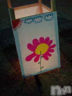 Ĺ襳ѥ˥󥯥ֻ򥳥ѥ˥󥯥 Amour(ࡼ) Ȥߥޥ(36)813̥֥֤ߡá