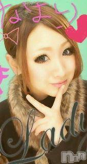 Ĺ襳ѥ˥󥯥ֻ򥳥ѥ˥󥯥 Amour(ࡼ) Ȥߥޥ(36)217̥֥...