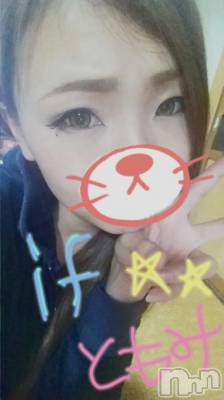 Ĺ襳ѥ˥󥯥ֻ򥳥ѥ˥󥯥 Amour(ࡼ) Ȥߥޥ(36)1031̥֥֤פ֤Ǥ