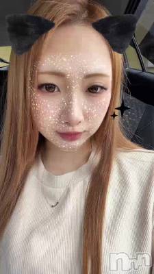 פ֤Ǥ(   ᷇ᵕ ᷆  )