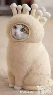 1/1  �����Ƥ���