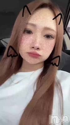 ʥϥץ˥