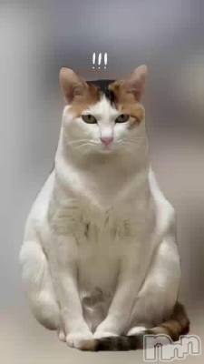 �����Ϥ����ȥХ�����������衩