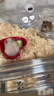 ��²�������ޤ���