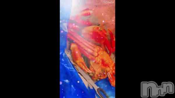 �֤��䡢�Τ�ʤ��ä��Ρ���